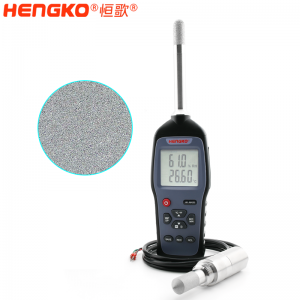 HG970 可拆換探頭濕度巡檢儀  工業(yè)型露點測量儀