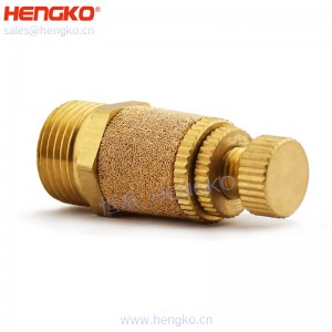 廠家供應(yīng)各種型號鉑螺紋燒結(jié)銅不銹鋼氣動消聲器消音器耐高溫工業(yè)降噪