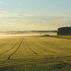 農(nóng)業(yè)大棚溫濕度監(jiān)控系統(tǒng)如何進行升級呢？